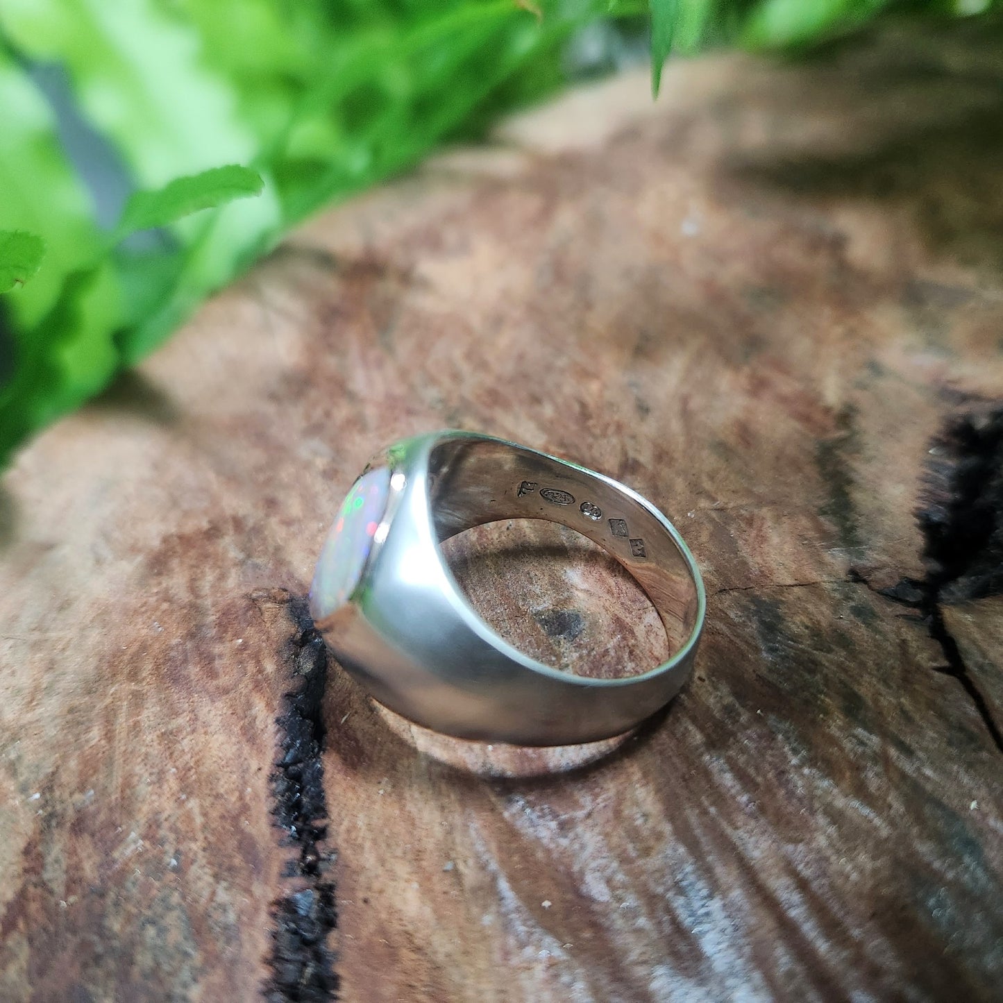 Armoured Ring